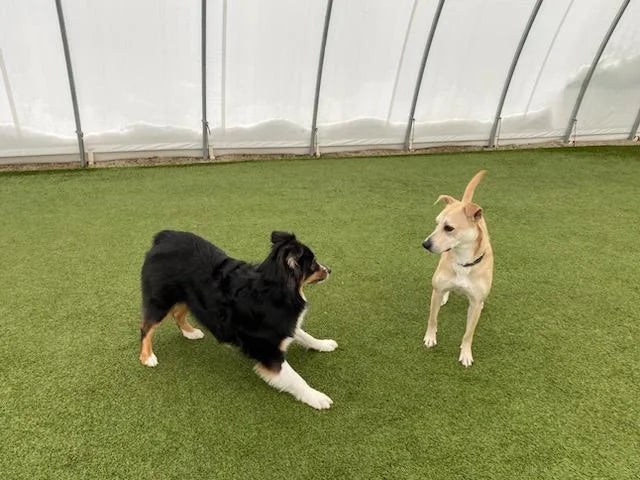 unnamed.webp__PID:23eba103-8684-4d1c-867f-857626fe98fb