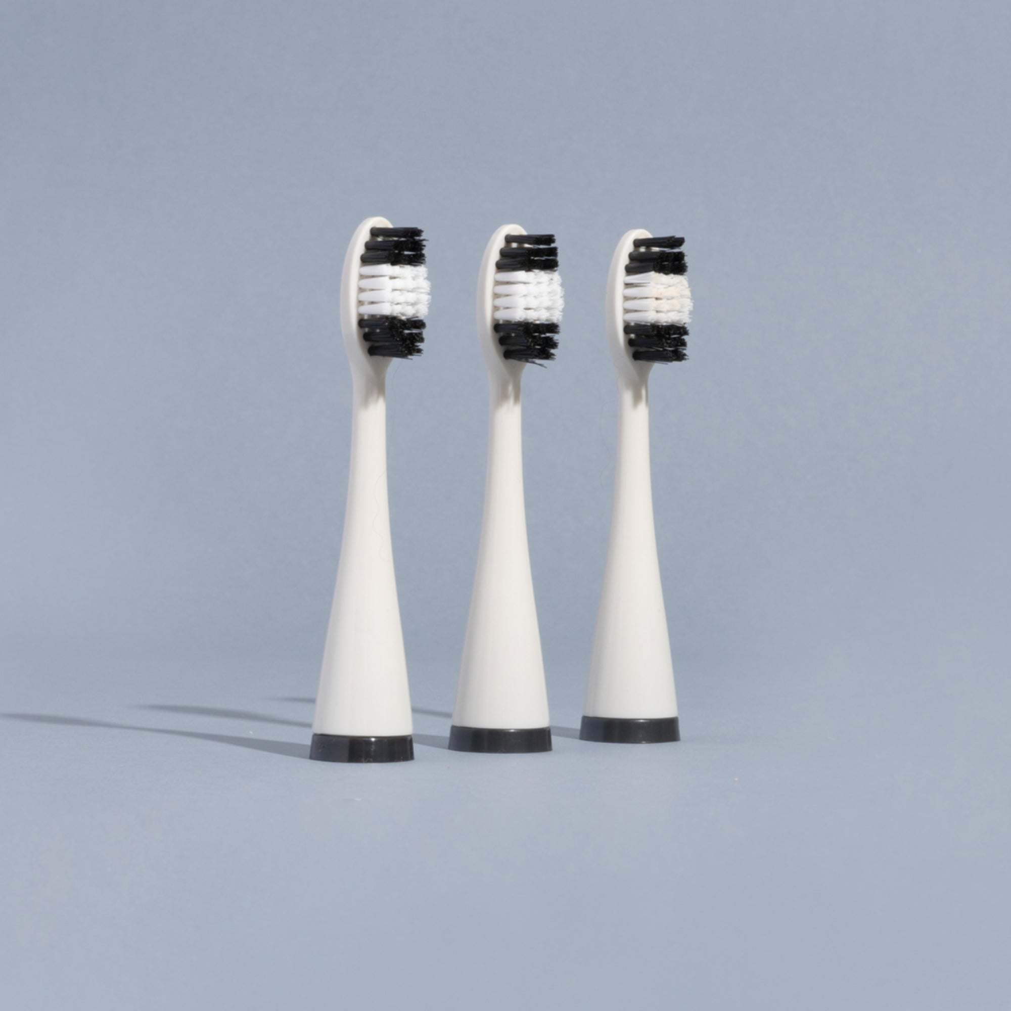 Canine electric toothbrush heads - Pack of 3 - RarePet.Co product image