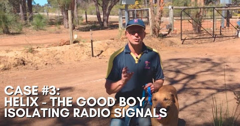 Helix Dog Training - Isolating Radio Signals