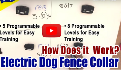 how does an electronic dog fence collar works video