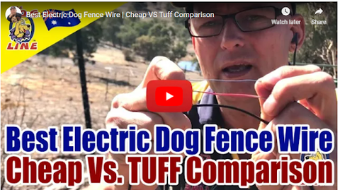 Best Dog Fence Wire