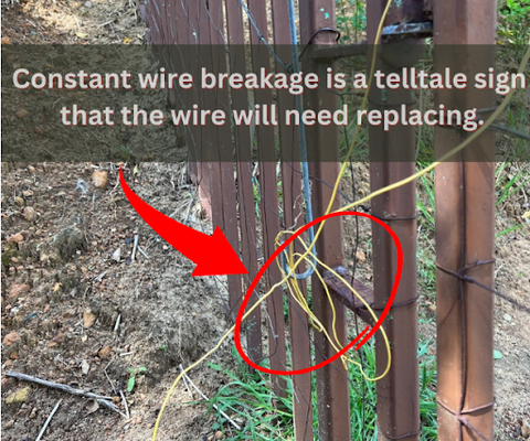 Broken Cheap Dog Fence Wire