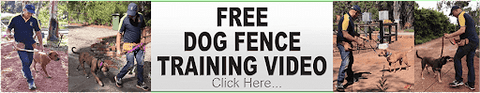 Free Dog Fence Training Videos