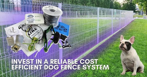 Invest in Reliable Cost Efficient Dog Fence System