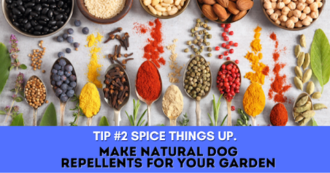 Tip # 2 - Spice Things Up
