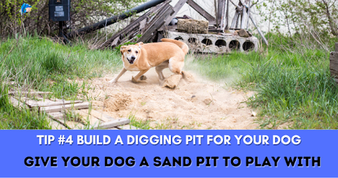 Tip # 4 - Build a digging pit