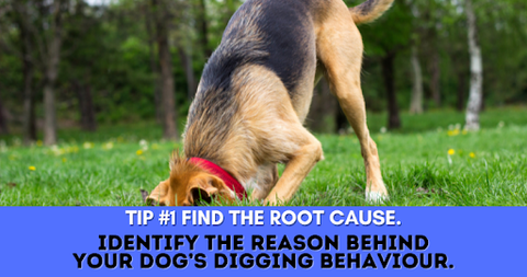 Tip # 1 - Identify the root cause