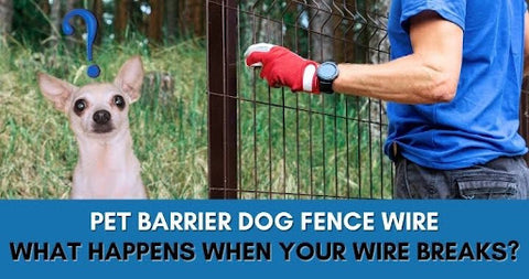 What will happen if the dog fence wire breaks?