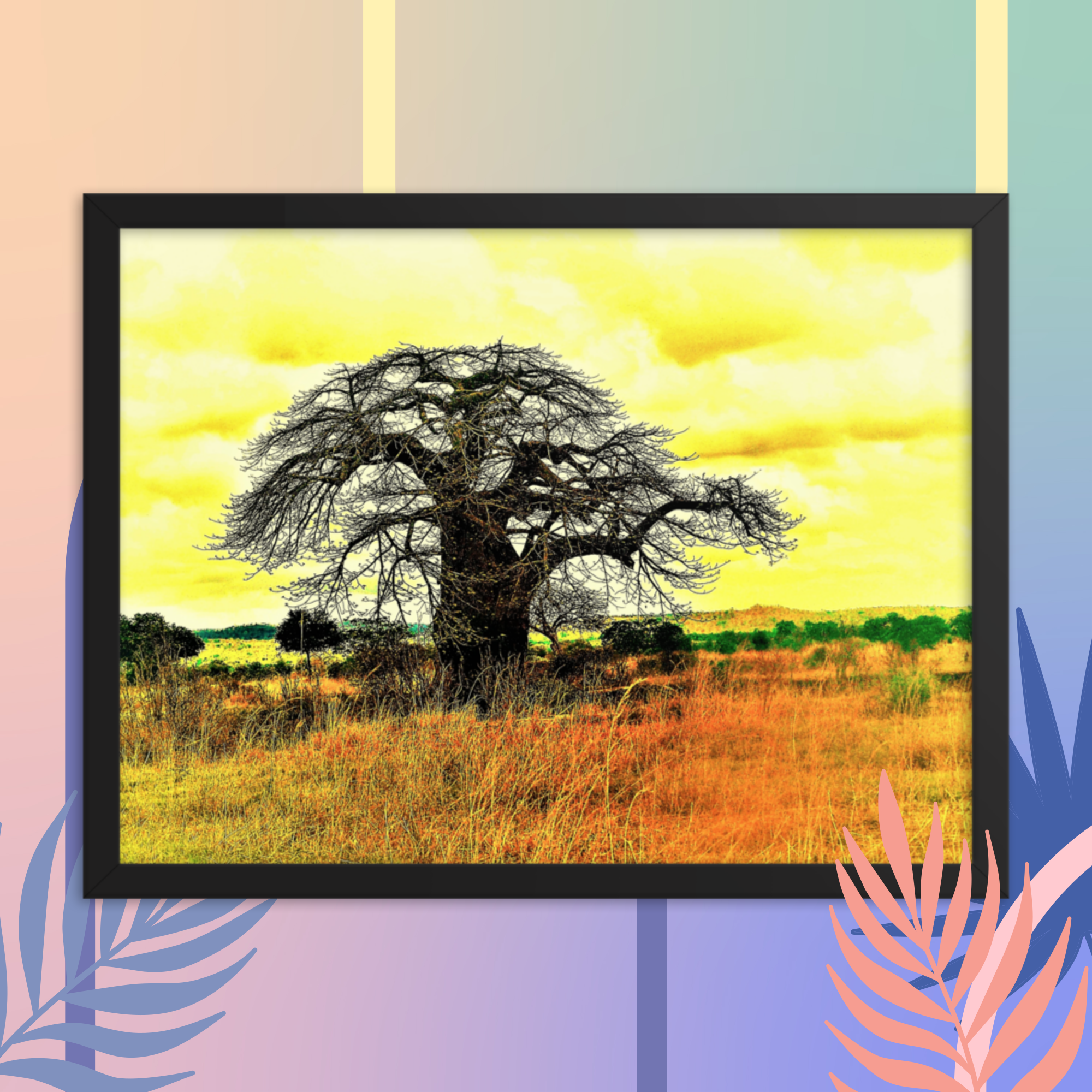 Baobab Tree