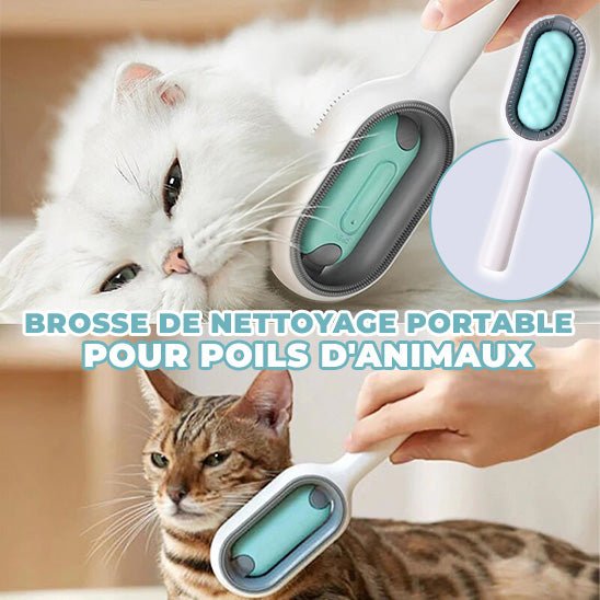 CHAT WOW™ . Brosse d’épilation pour chat à double face - les chats et leurs accessoires .com