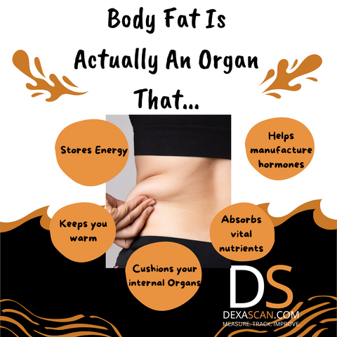 Body fact is an organ