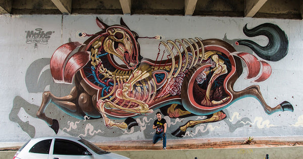 NYCHOS - Horse Dissected Mural