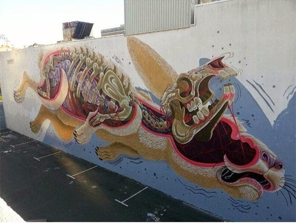 NYCHOS - Rabbit Dissected Mural