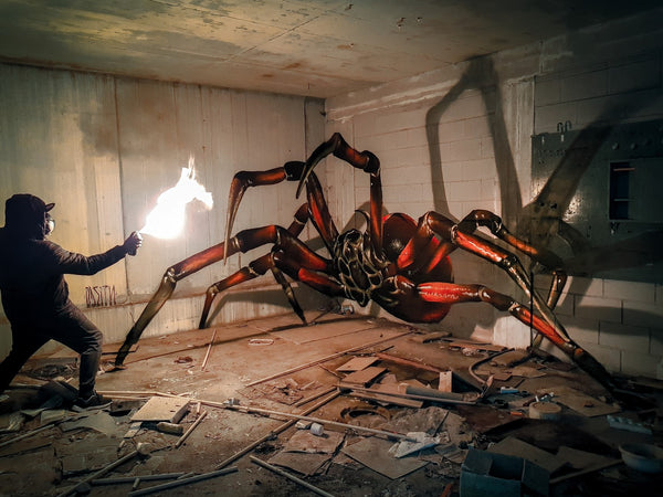 ODEITH - huge-spider-anamorphic-2018-odeith