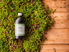 An image of a bottle of liquid compost activator lying on a bed of moss