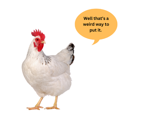 Chicken Speaking