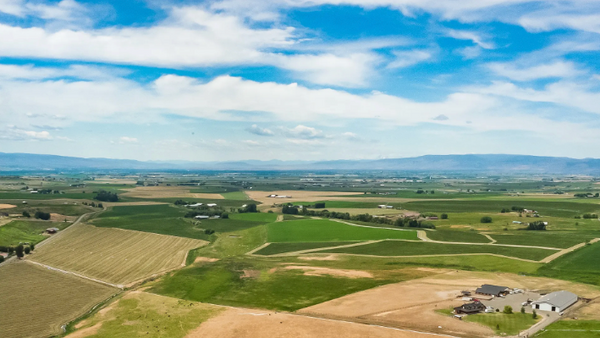 Hay Fields