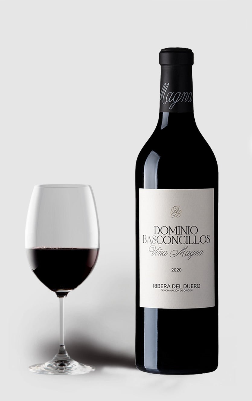 Billede af Dominio Basconcillos Crianza MAGNUM 2020