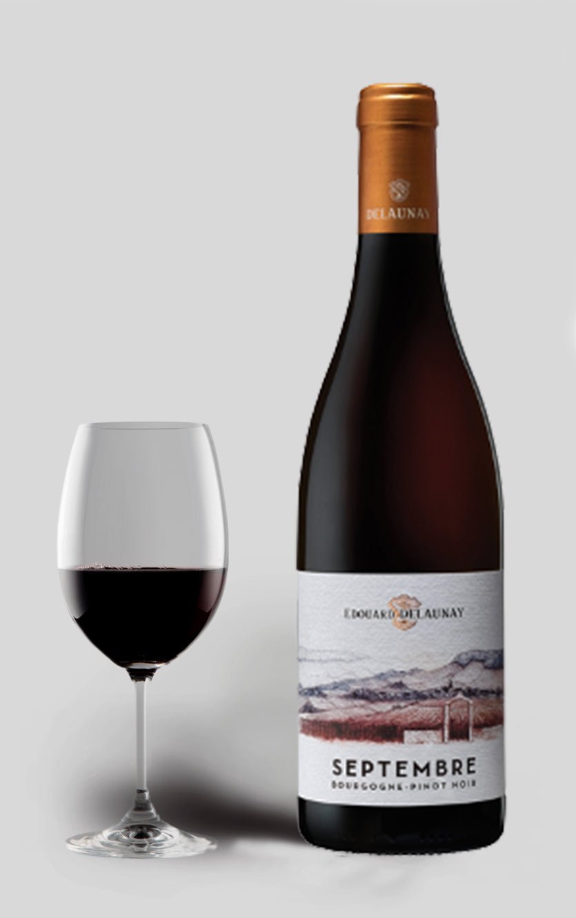 Se Edouard Delaunay Bourgogne Pinot Noir Septembre 2020 hos DH Wines
