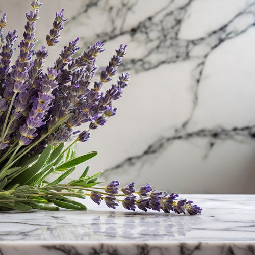 Lavender_leaves_on_a_marble_counter_top_with_a_white_background_20704