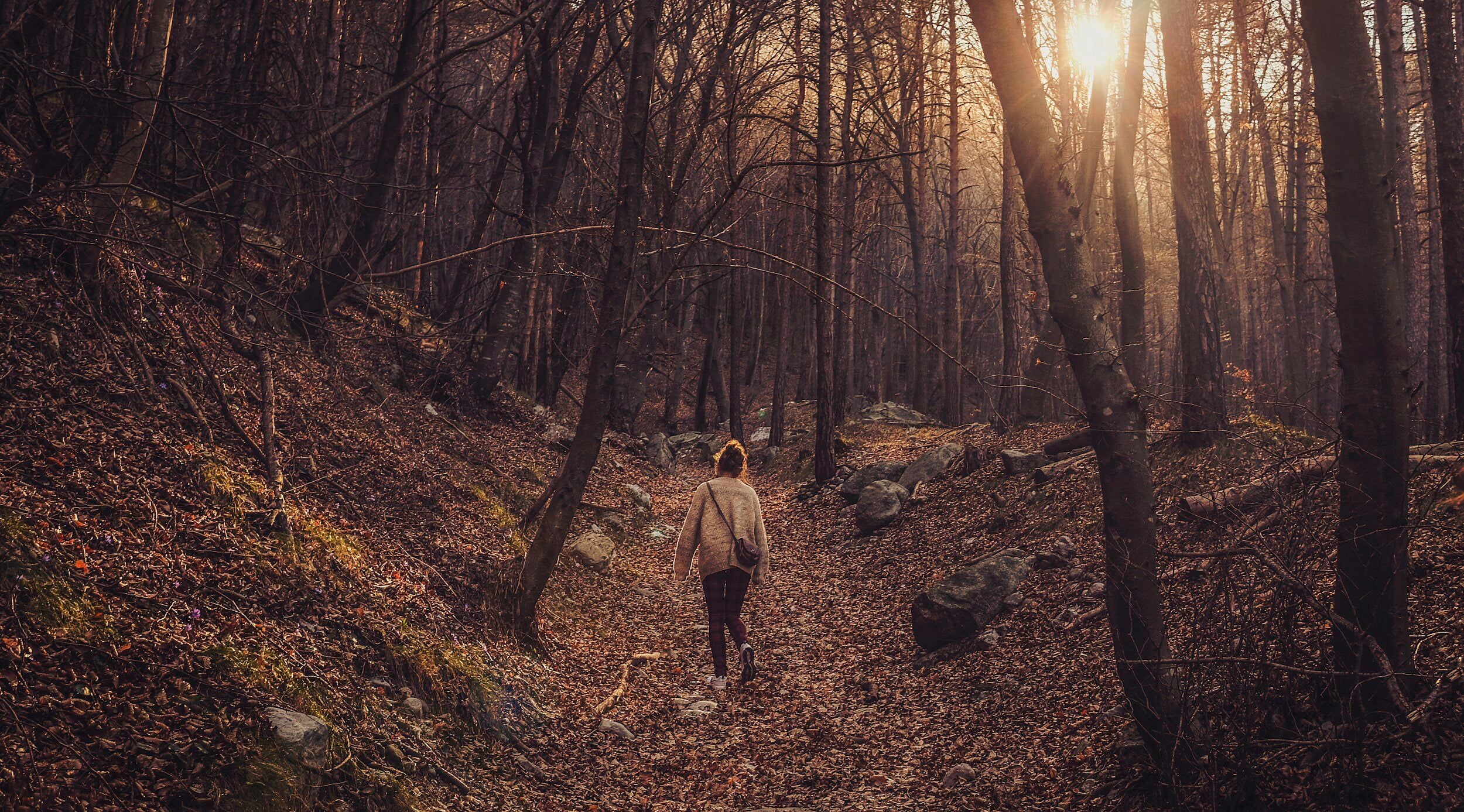 a woman walking through an autumn forest during her lutleal phase