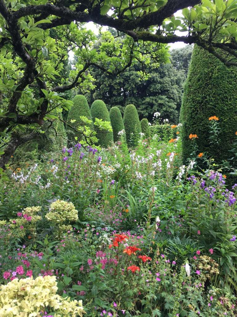 garden scene at hidcote manor, flower beds in front and topiary behind