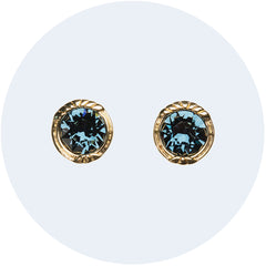 Blue Crystal Stud Earrings