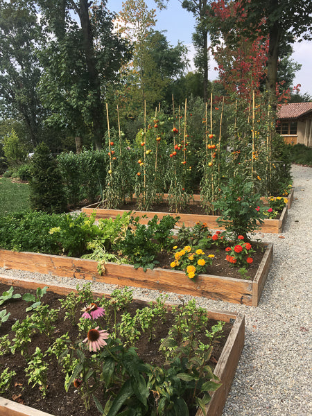 italian holiday view of kitchen garden