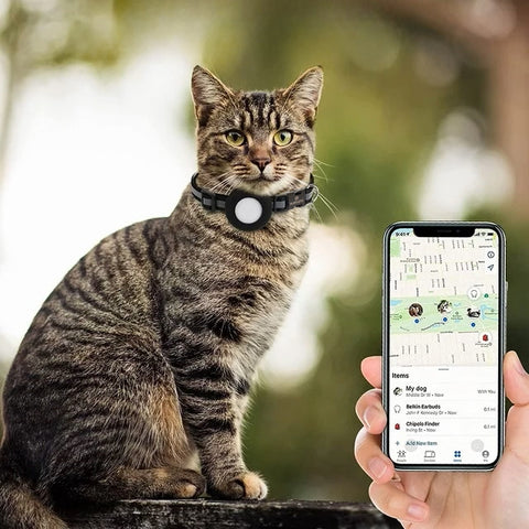 GPS tracker cat