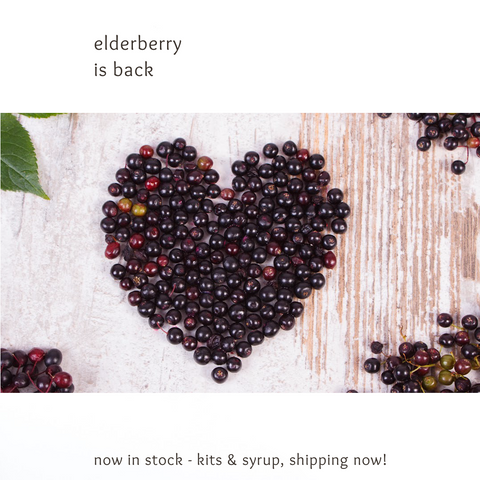 Handmade elderberry syrup is back in stock green and lovely