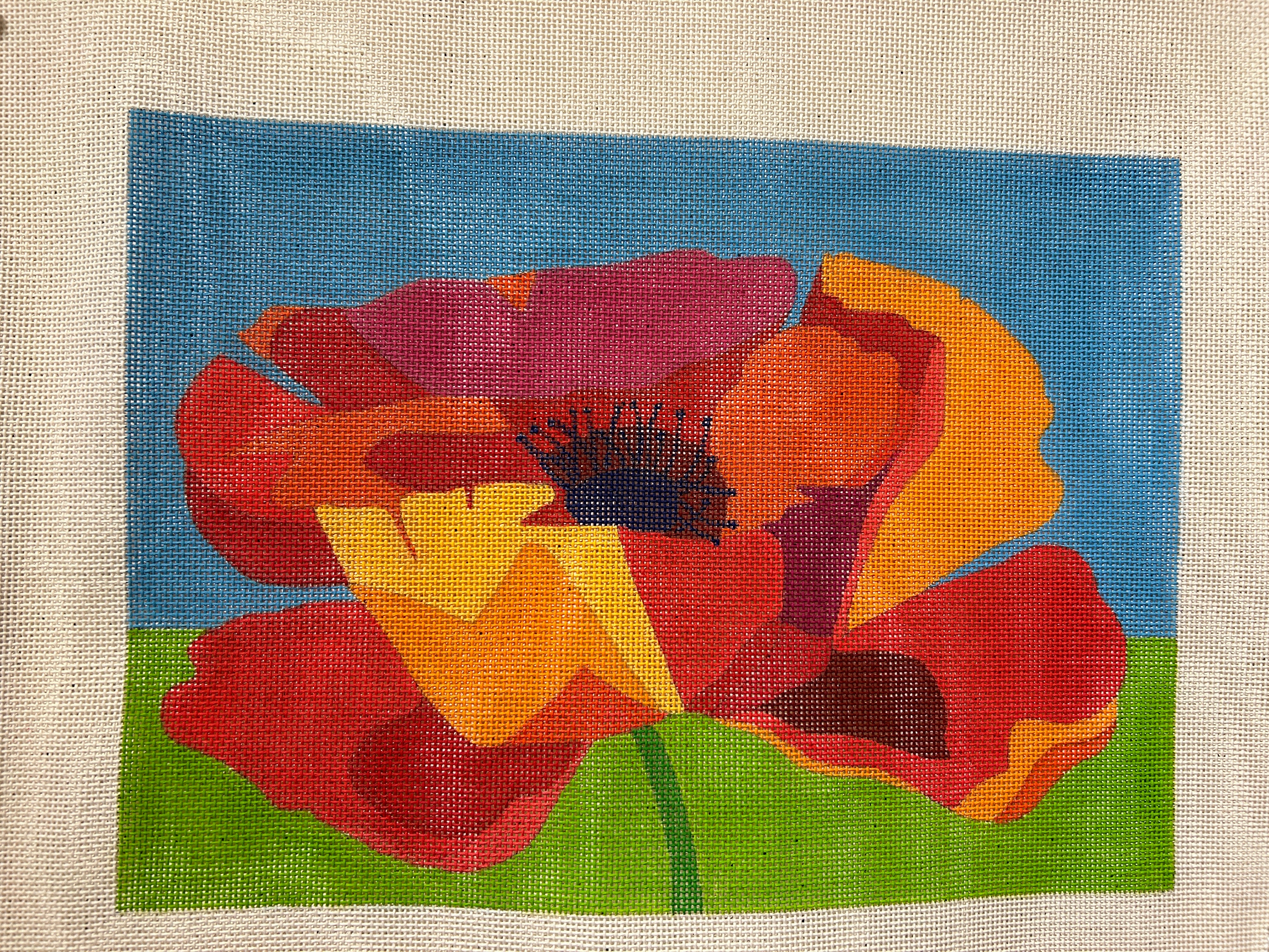 Poppy 18