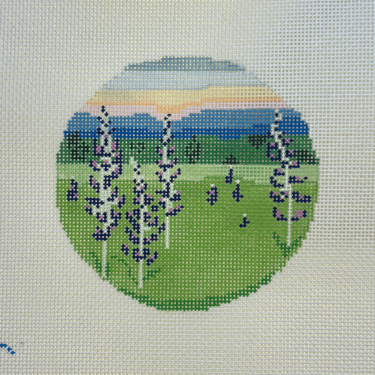 Lupine Field