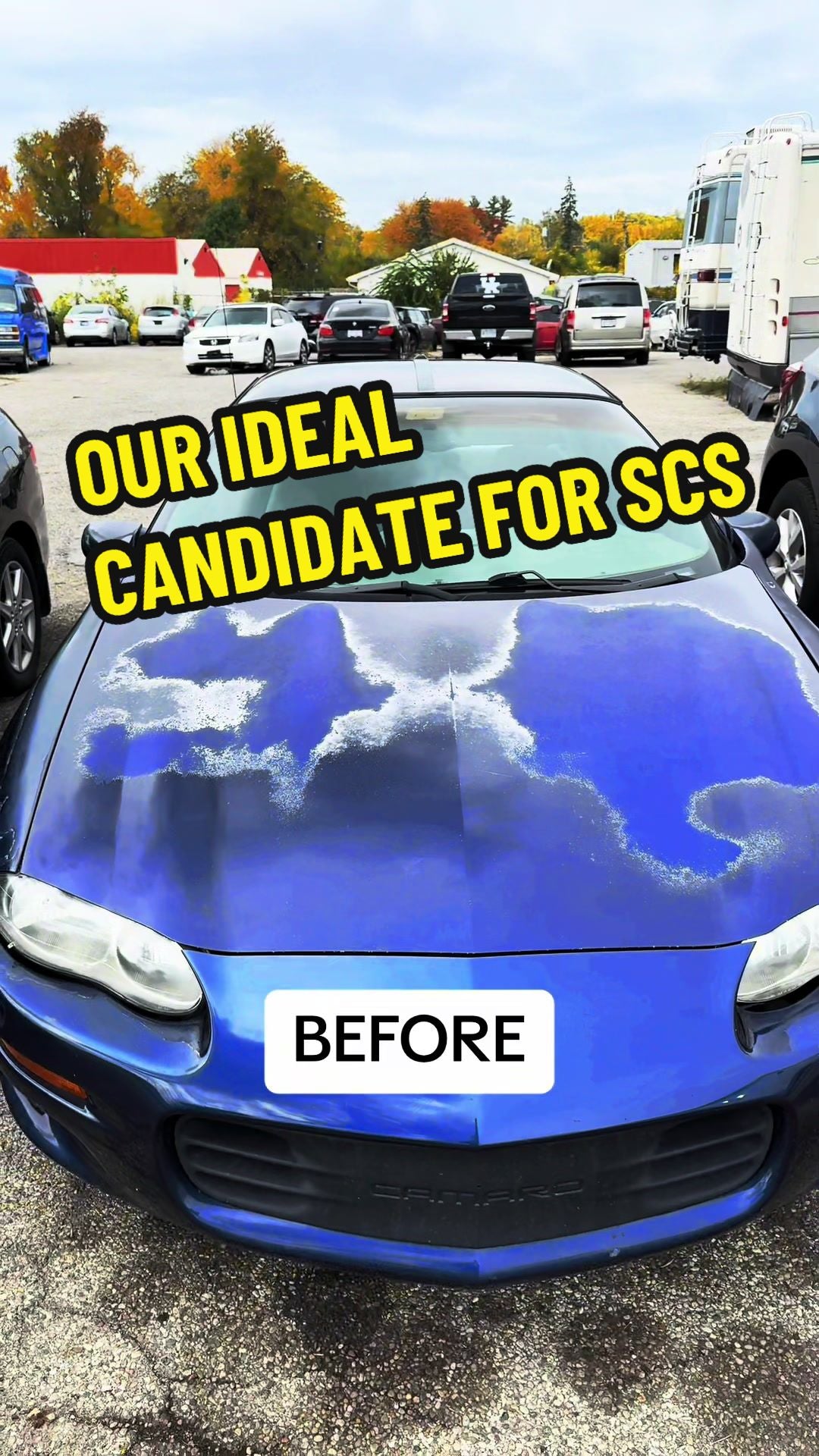 Who can benefit from SCS!? #shinycarstuff #tiktokshop #clear #diyproje