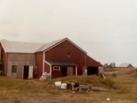 Låven etter påbygging i 1972. Foto ukjent