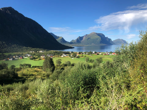 Gården i Storvik med innmark og utmark. Foto Kjell Ivar Hansen