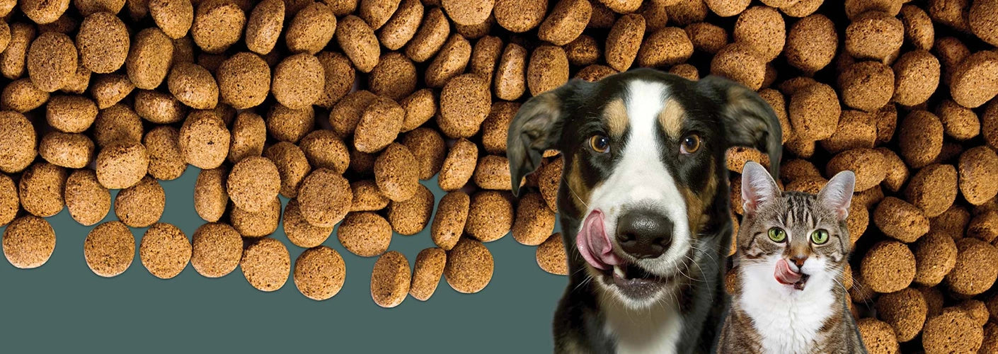 An image showcasing a happy dog and cat with the backgroung with high quality Barekmor pet foods kibbles