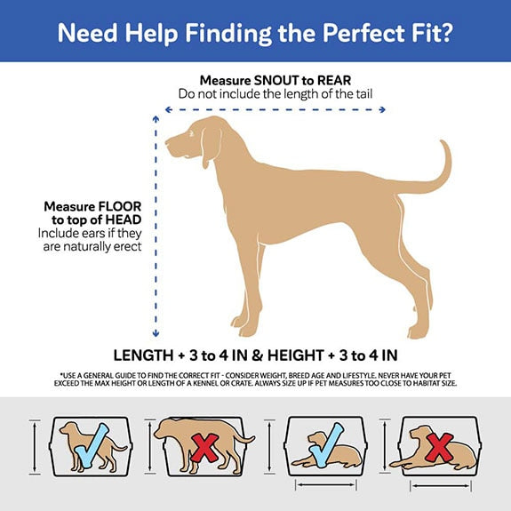 an infographic showing how you should measure your dog to determine what size kennel you need