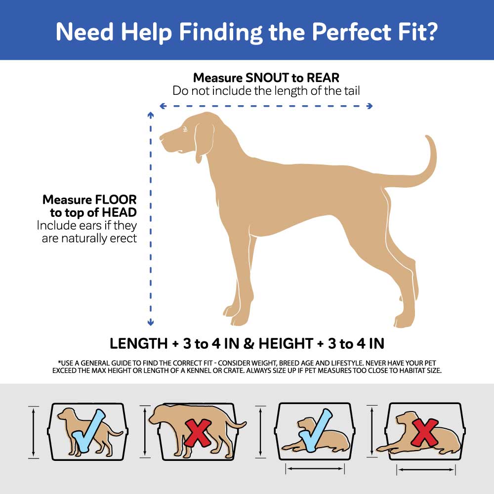 an infographic displaying how to measure a dog for their kennel size