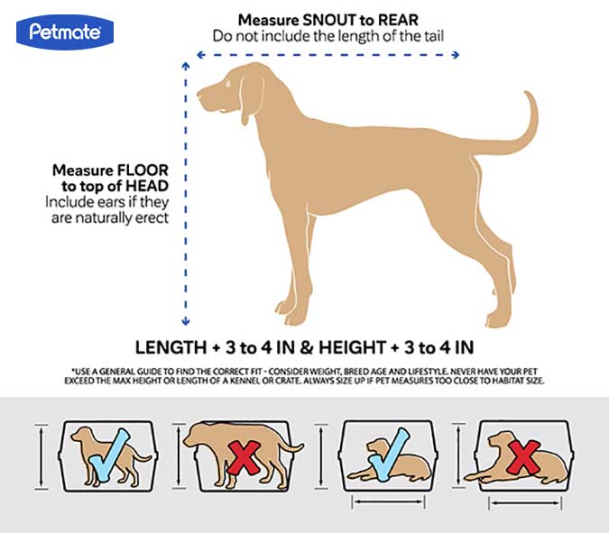 an infographic showing owners how to measure their dog to determine size kennel