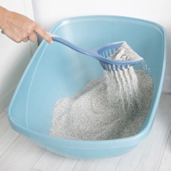 cleaning a litter box with a litter scoop