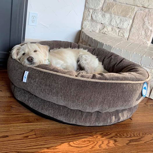 Dog sleeping on a La-Z-Boy dog bed