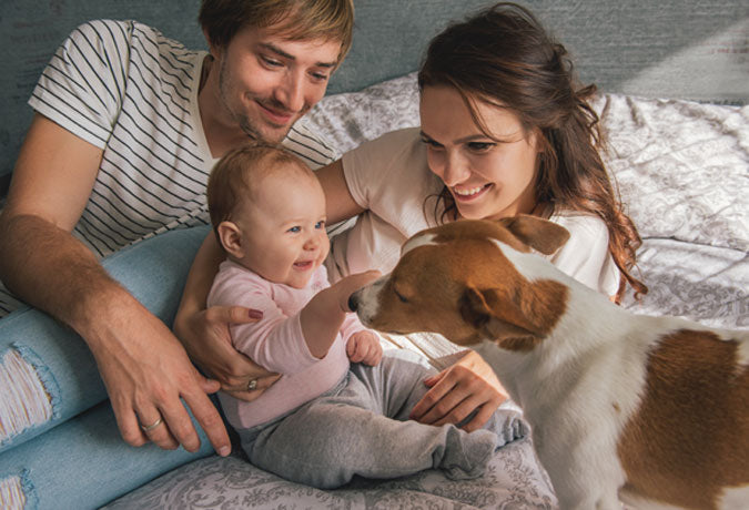 A family with a baby and dog