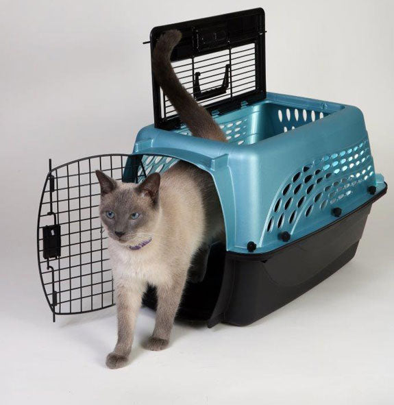 cat in a top load cat carrier
