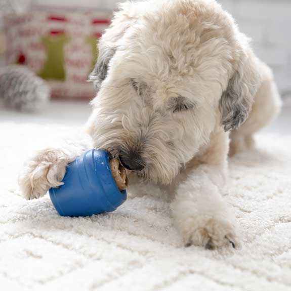 dog playing with a durable dog treat toy