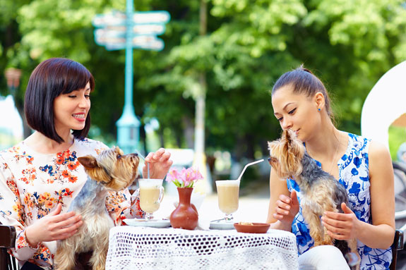 two woman eating otudoors with dogs in their lap