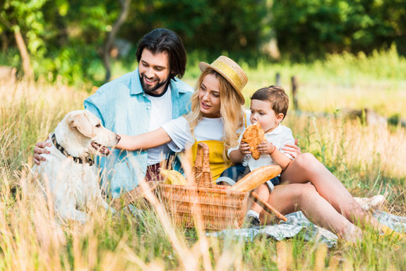 family with dog at park picnic