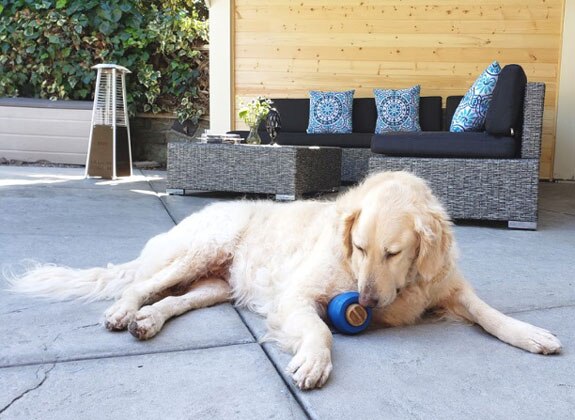 a dog laying on a patio playing with a JW Twist-In Treats Dog Toy