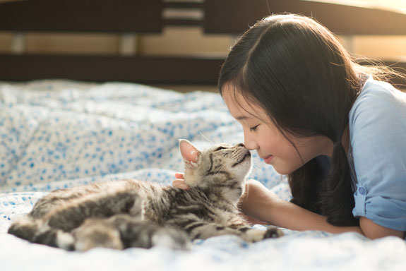 a gray cat giving cat kisses to a small girl