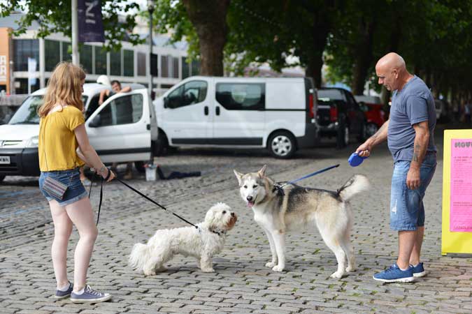 two people talking with dogs on leash