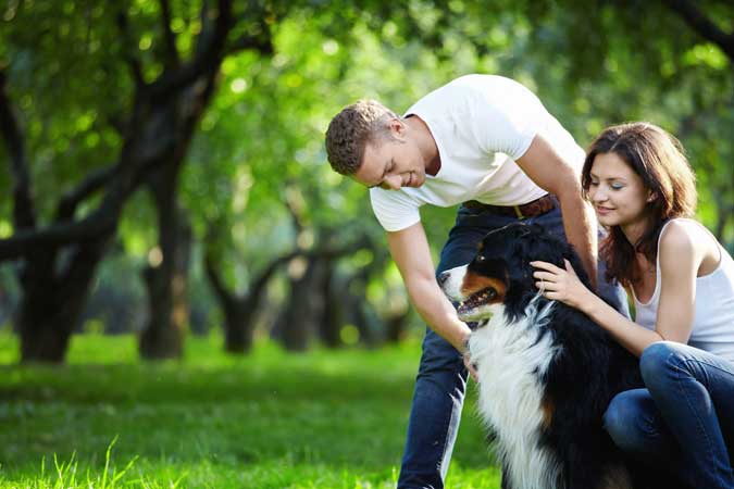 a couple petting a dog in a dog park